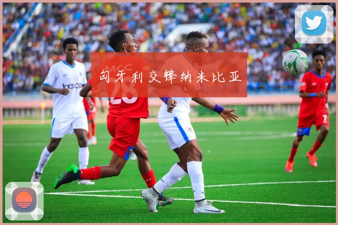 匈牙利交锋纳米比亚
