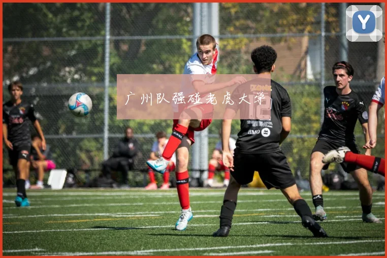 广州队强碰老虎大学