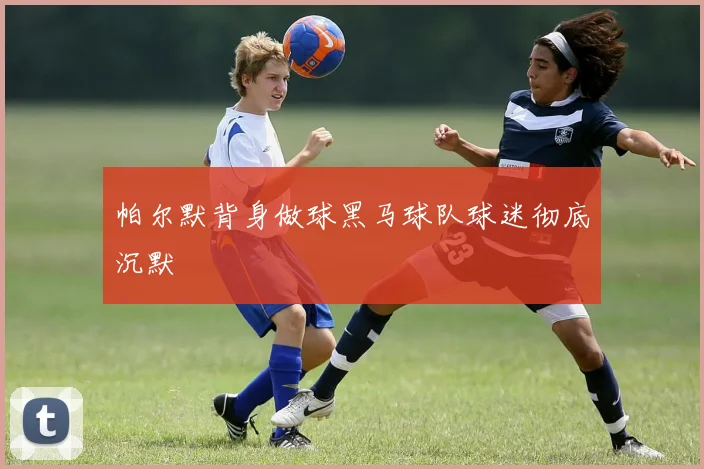 帕尔默背身做球黑马球队球迷彻底沉默