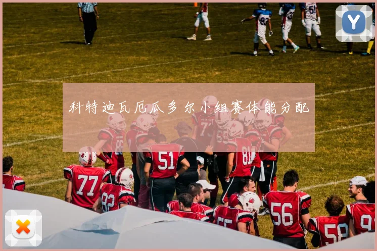 科特迪瓦厄瓜多尔小组赛体能分配