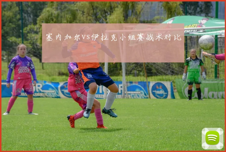 塞内加尔vs伊拉克小组赛战术对比