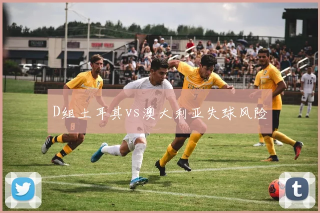 D组土耳其vs澳大利亚失球风险