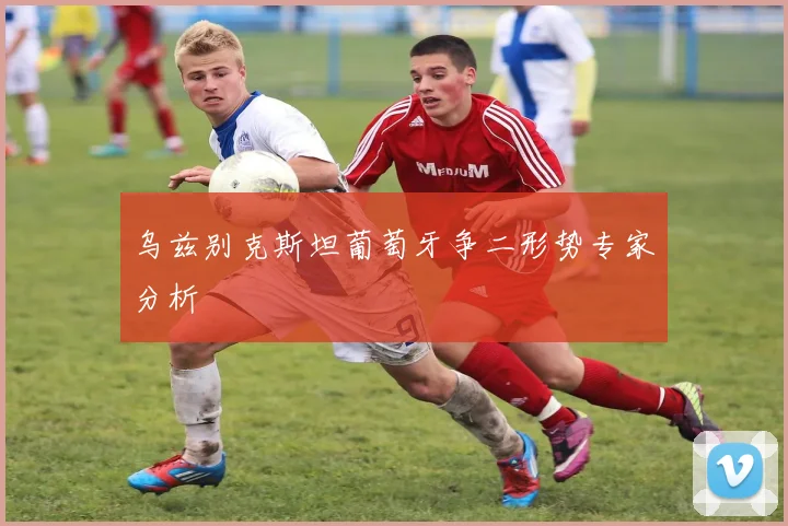 乌兹别克斯坦葡萄牙争二形势专家分析