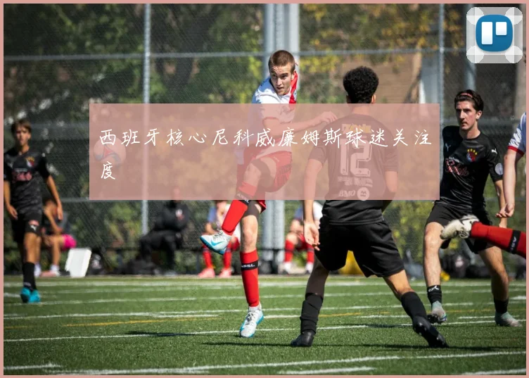 西班牙核心尼科威廉姆斯球迷关注度