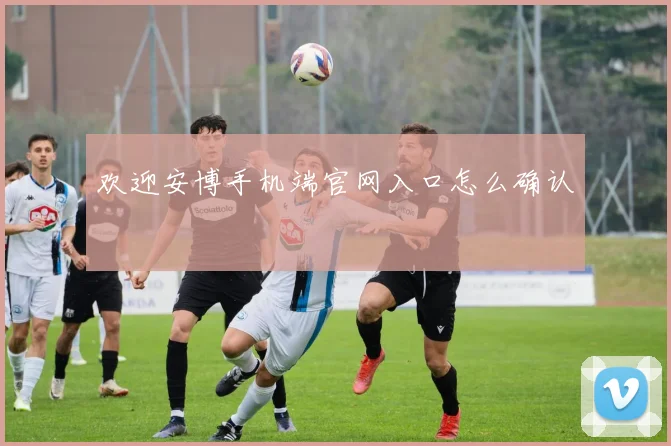 欢迎安博手机端官网入口怎么确认