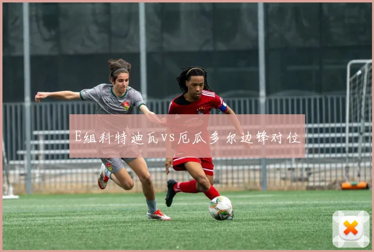 E组科特迪瓦vs厄瓜多尔边锋对位