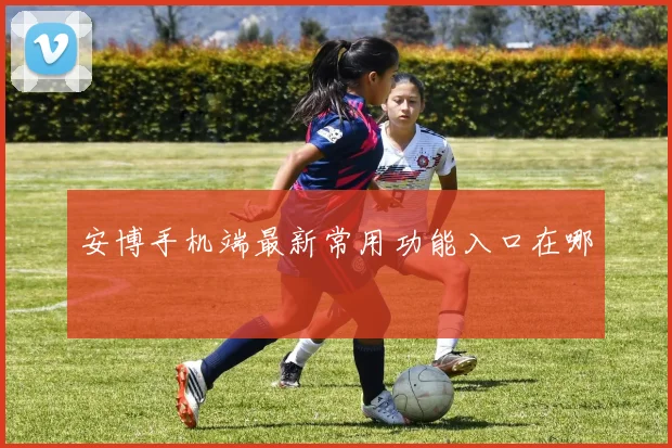 安博手机端最新常用功能入口在哪