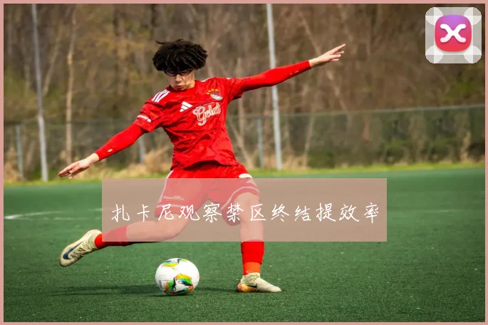 扎卡尼观察禁区终结提效率