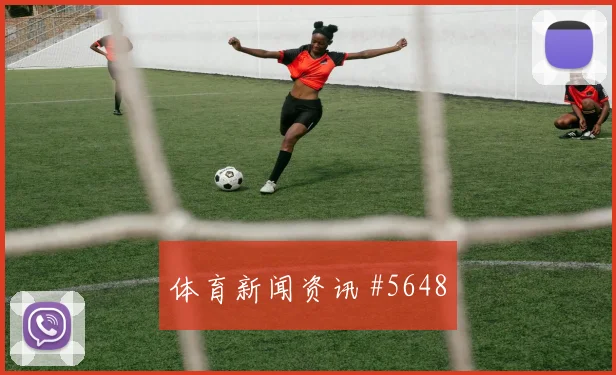 塞内加尔vs伊拉克小组赛战术对比